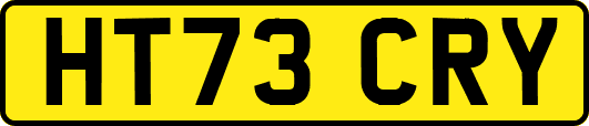 HT73CRY