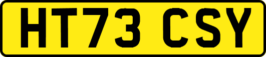HT73CSY