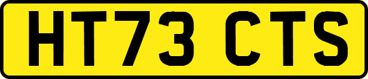 HT73CTS