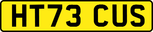 HT73CUS