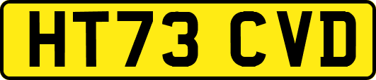 HT73CVD