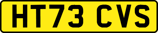 HT73CVS