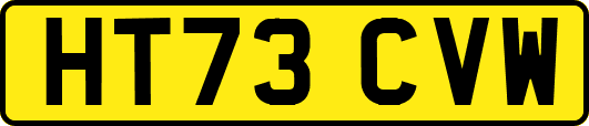 HT73CVW