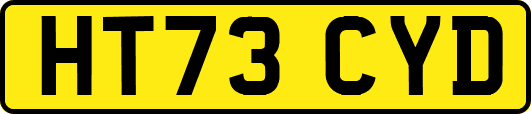 HT73CYD