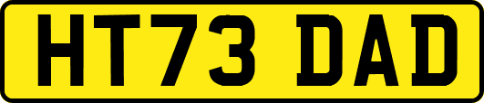 HT73DAD