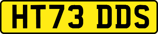 HT73DDS