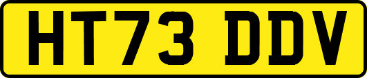 HT73DDV