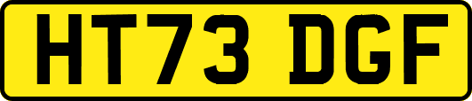 HT73DGF