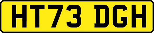 HT73DGH