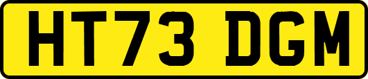 HT73DGM