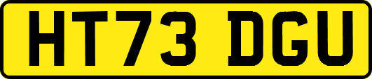 HT73DGU