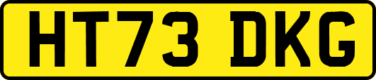HT73DKG