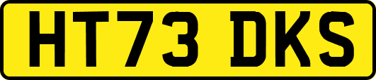 HT73DKS