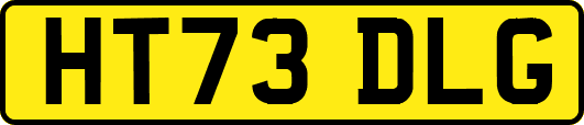 HT73DLG