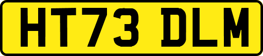 HT73DLM