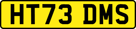 HT73DMS