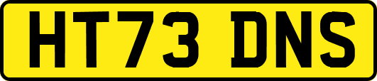 HT73DNS