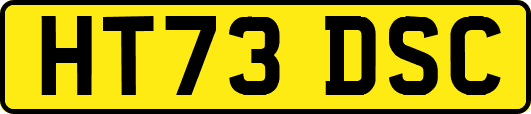 HT73DSC