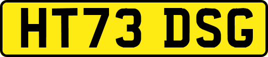 HT73DSG