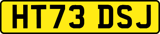HT73DSJ