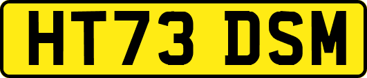 HT73DSM