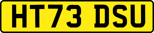 HT73DSU