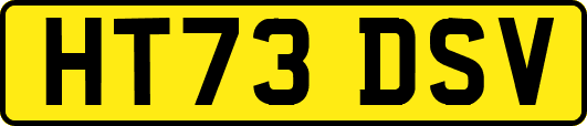 HT73DSV