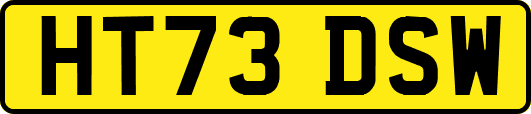 HT73DSW