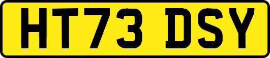 HT73DSY