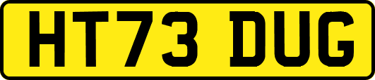 HT73DUG