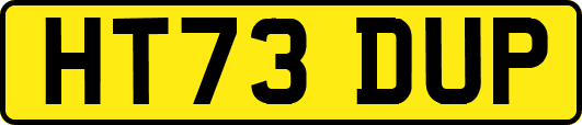 HT73DUP