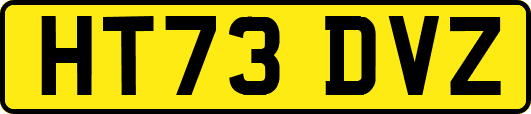 HT73DVZ