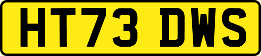 HT73DWS