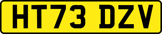 HT73DZV