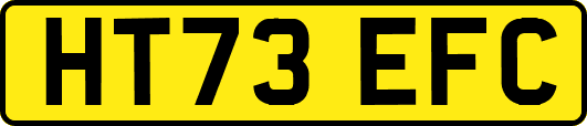 HT73EFC