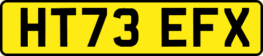 HT73EFX