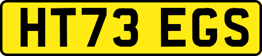 HT73EGS