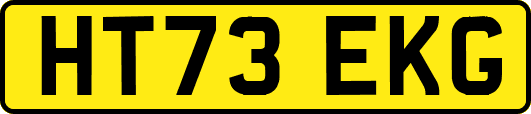 HT73EKG