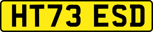 HT73ESD