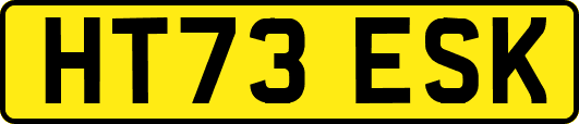 HT73ESK