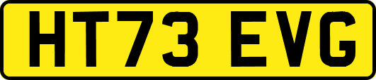 HT73EVG
