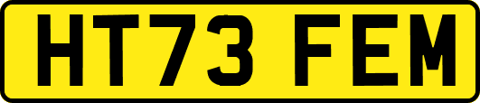 HT73FEM