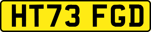 HT73FGD