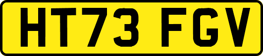 HT73FGV