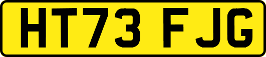 HT73FJG