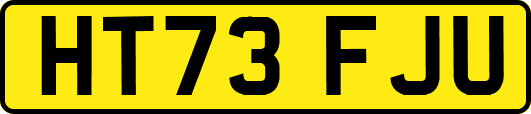 HT73FJU