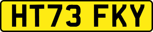HT73FKY