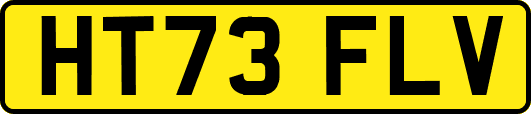 HT73FLV