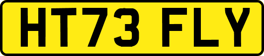 HT73FLY