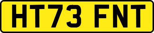 HT73FNT
